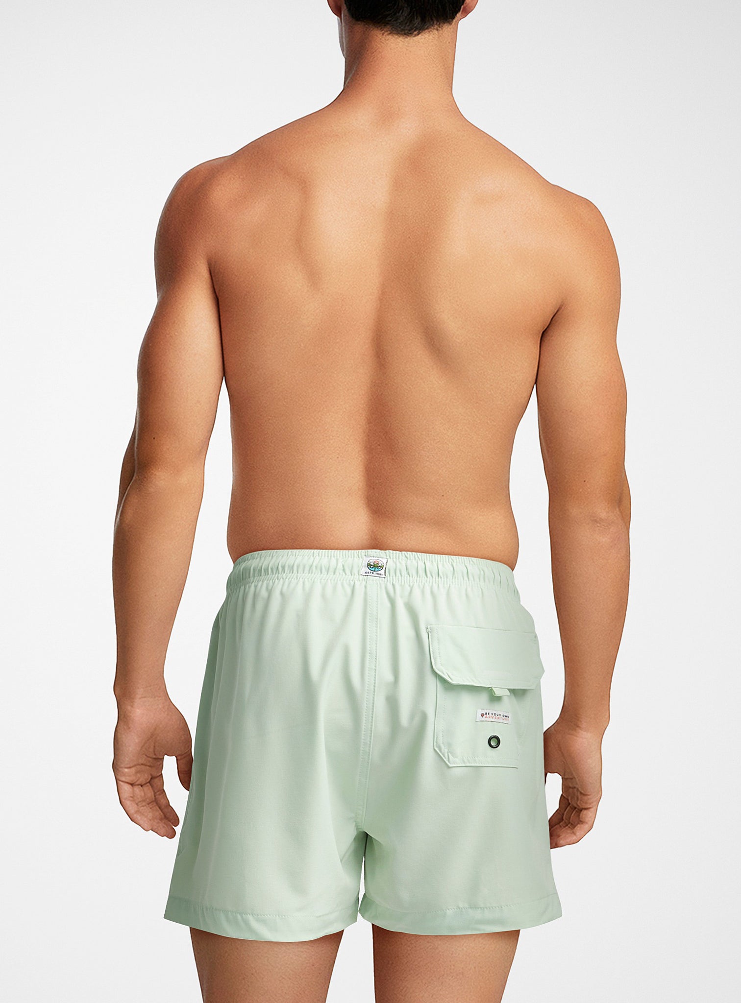Solid Swim Trunks in Sage